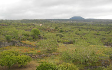 La Valle del Pistacchio - Azienda