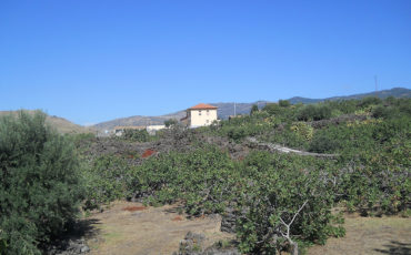 La Valle del Pistacchio - Azienda