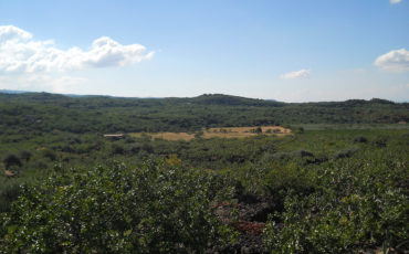 La Valle del Pistacchio - Azienda