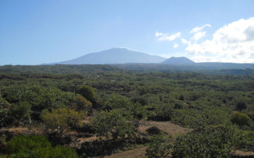 La Valle del Pistacchio - Azienda